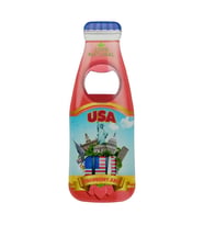 ABD Temalı Magnet Şişe Açacak (Karışık)