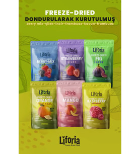6’lı Dondurulmuş Meyve - Sağlıklı Atıştırmalık - Çilek İncir Frambuaz Mango Portakal Berry Mix