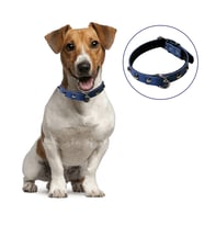 Durukar® Yumuşak Dokulu Deri Köpek Gezdirme Boyun Tasması (Large)