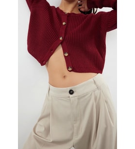 Kadın Modern Tarz Regular Bisiklet Yaka Crop Triko Hırka (Bordo)