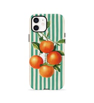 iPhone 12 Vorian Çift Katmanlı Kılıf Italian Orange Orchard