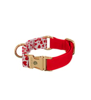 Charmlı Valentine Köpek Boyun Tasması