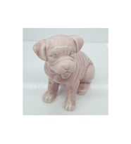 Pembe Köpek Biblo