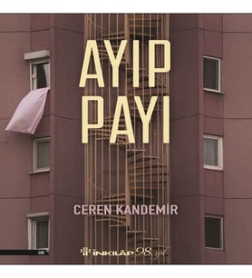 Ayıp Payı