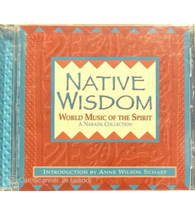 (Plak Değildir CD dir) CD Native Wisdow World Music Of The Spirit CD (Karışık)
