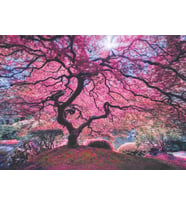 Anatolian 1000 Parça Pink Tree Puzzle