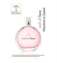 Wish Of Love
