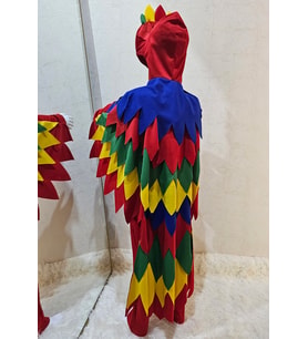Papağan Kostümü Lüks
