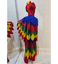 Papağan Kostümü Lüks
