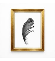 Tablore Minimalist Siyah Kuş Tüyü Tasarımlı Gold Çerçeveli Modern Salon Tablosu