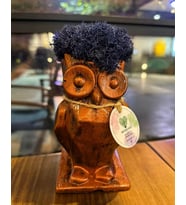 Renkli Kalp Moss Ağaç, Yosun Bonsai Ağacı Moss Garden Dekoratif Hediyelik Mini Biblo