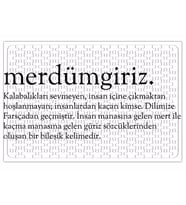 Merdümgiriz Kelime Puzzle 240 Parça Yapboz