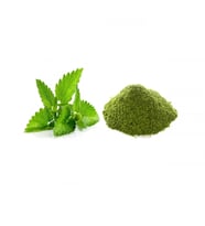 Nane Toz Mint 100 gr, Derya Eren