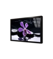 Spa Taşları ve Orkide Çerçeveli Cam Tablo