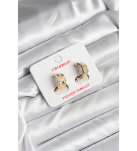 14K Gold Renk Kaplama CM Kadın Küpe - TJ-BKP11414