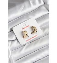 14K Gold Renk Kaplama CM Kadın Küpe - TJ-BKP11414