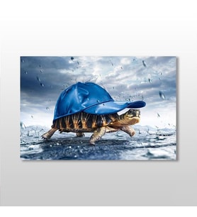 Kaplumbağa Kanvas Tablo 120x80cm (Karışık)
