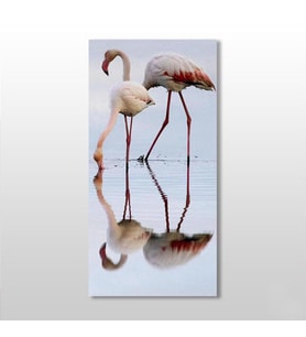 Pelikan Kanvas Tablo 30x50cm (Karışık)