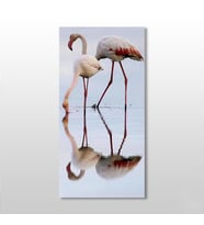 Pelikan Kanvas Tablo 30x50cm (Karışık)