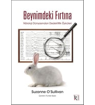 Beynimdeki Fırtına