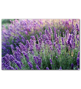 Cakapuzzle Lavanta Tarlası Yakın Çekim Detay Puzzle Yapboz MDF (Ahşap) (120 Parça)