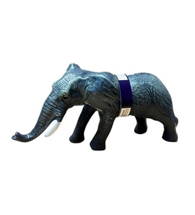 Vahşi Hayvanlar