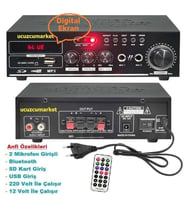 Anfi 110W (Bluetooth USB-SD Kart-Mp3-Çalar-2 mikrofon Giriş-12V/220V)