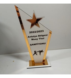 HEDİYELİK PLAKET karete/boks/judo/muay thai Turnuvalarına özel(Kişiye özel İsim yazılı)