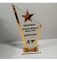 HEDİYELİK PLAKET karete/boks/judo/muay thai Turnuvalarına özel(Kişiye özel İsim yazılı)