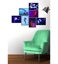 Çerçevesiz Çerçeve Görünümlü Deniz Anası Temalı 7 Parça Mdf Tablo Seti Jelly Fish