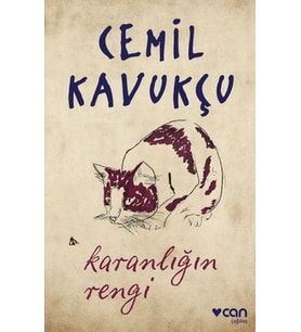Karanlığın Rengi