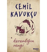 Karanlığın Rengi