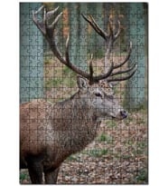 Cakapuzzle Ormanda Ren Geyiği Puzzle Yapboz MDF (Ahşap) (120 Parça)