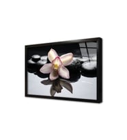 Spa Taşları ve Orkide Çerçeveli Cam Tablo