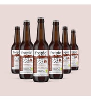 Fropie Kombucha Baharatlı  -  Probiyotik Fermente Çay- 330 ml x 6 Adet