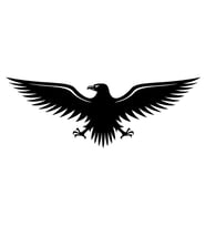 Kartal Sticker17x17 Cm Siyah