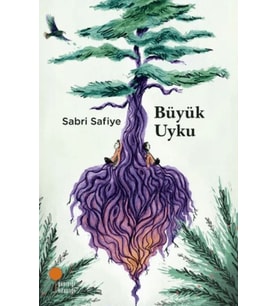 Büyük Uyku