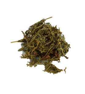 LokmanAVM Eğrelti Otu Doğal 1000 Gr Paket (Yeşil)