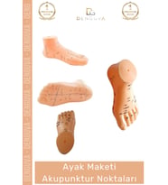 #MaketAyak Profesyonel Medikal Plastik Anatomik Refleksoloji 20Cm Ayak Maketi Akupunktur Noktası