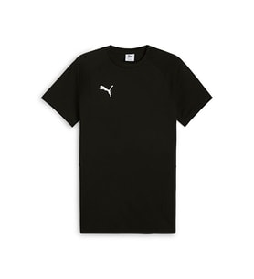 Puma Teamevostripe Tee Erkek Futbol Antrenman Tişörtü 65995303 Siyah