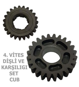 4. Vıtes Dıslı Ve Karsılıgı Cub