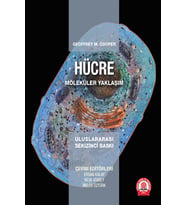 Hücre Moleküler Yaklaşım