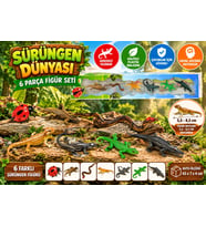 Sürüngen Dünyası 6 Parça Figür Seti-2