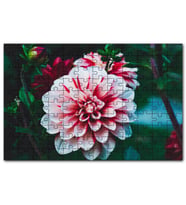 Cakapuzzle Pembe Beyaz Yıldız Çiçeği Puzzle Yapboz MDF (Ahşap) (120 Parça)