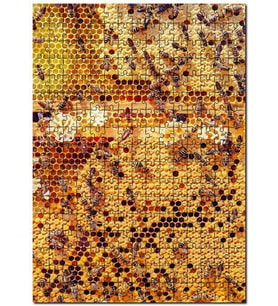 Cakapuzzle Arı Peteği Görseli Puzzle Yapboz MDF (Ahşap) (120 Parça)