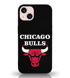 Apple iPhone 13 Uyumlu Lansman Kılıf Chicago Bulls Tasarımlı Altı Kapalı İçi Kadife Kaplı  Kapak (Şeffaf)