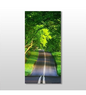 Ağaçlı Yeşil Yol Kanvas Tablo 130x195cm (Karışık)