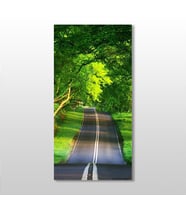 Ağaçlı Yeşil Yol Kanvas Tablo 130x195cm (Karışık)