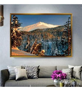 Altın Çerçeveli dekoratif tablo l744 (Gold)