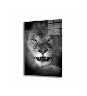 Miyrem Glasses Collection -A1^#  Aslan Hayvancam Tablo (Çok Renkli)